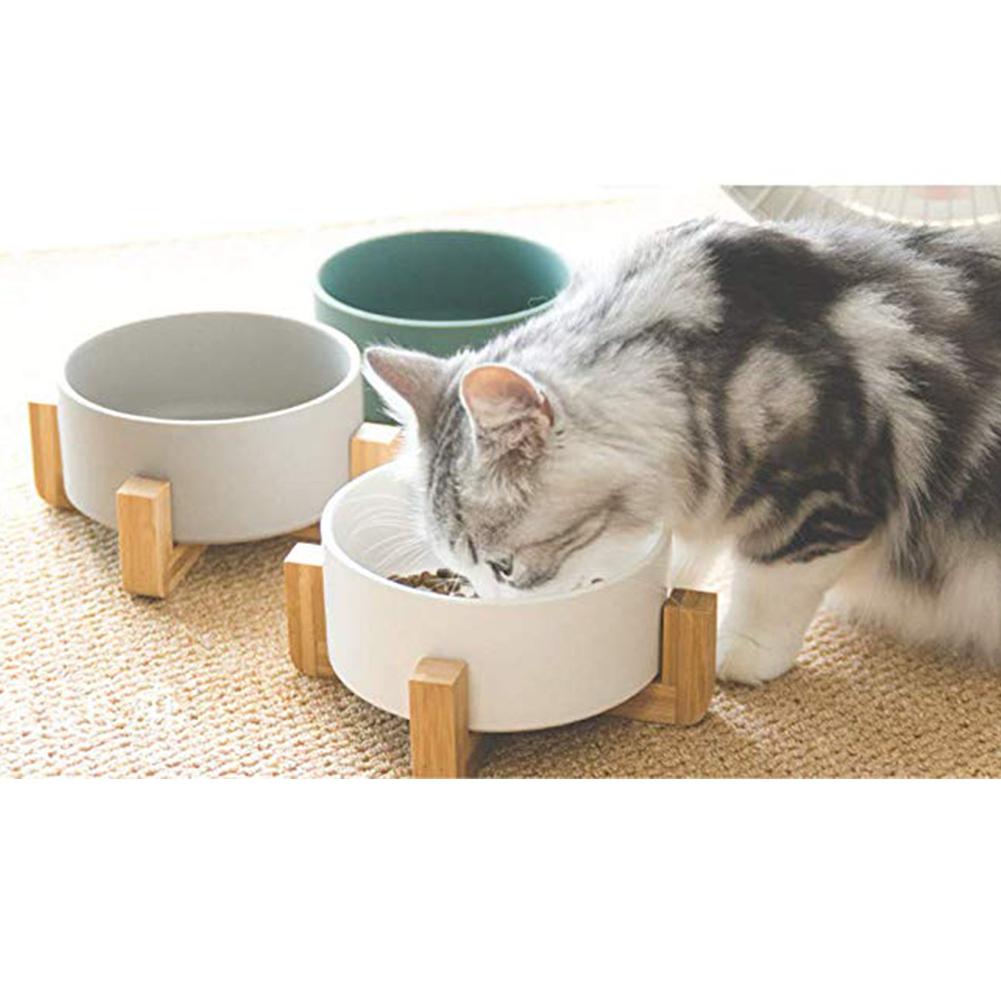 Bol pour animaux en céramique avec support en bois et bol à nouilles