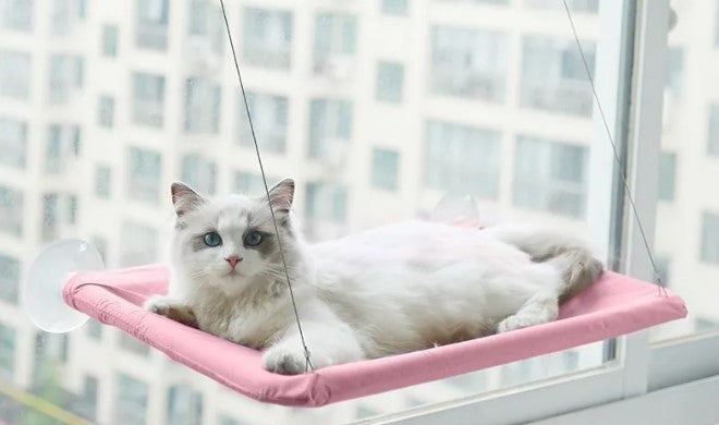 Hamac de fenêtre pour chat