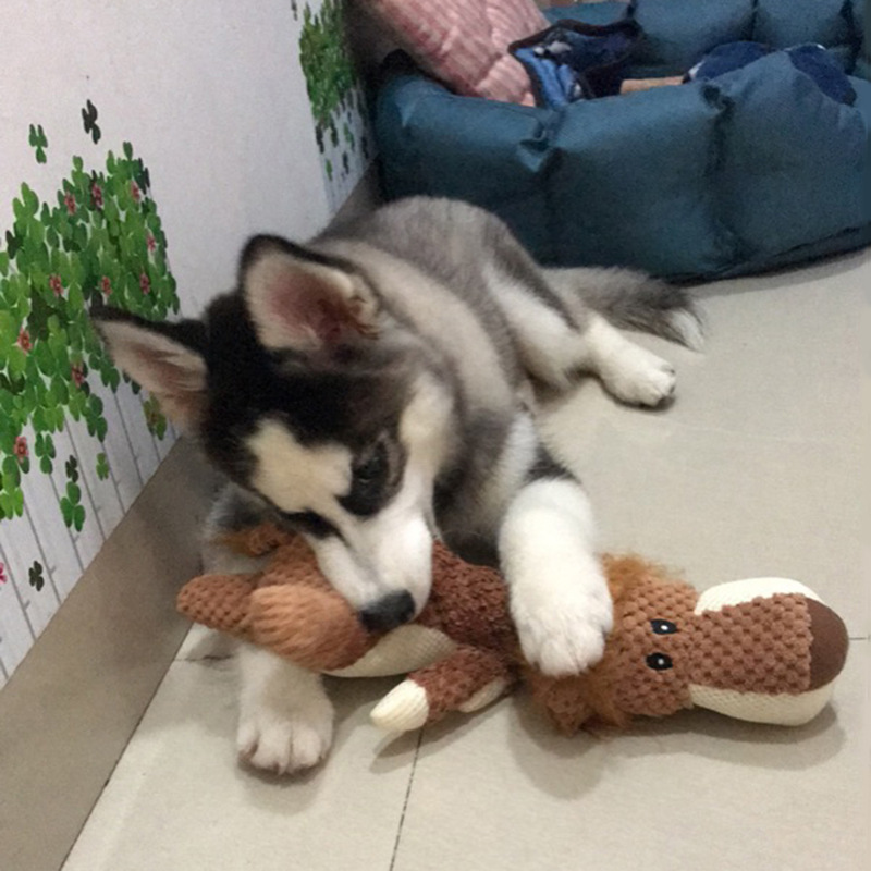 Jouet Peluche Animal