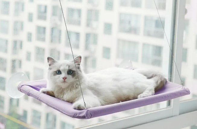 Hamac de fenêtre pour chat