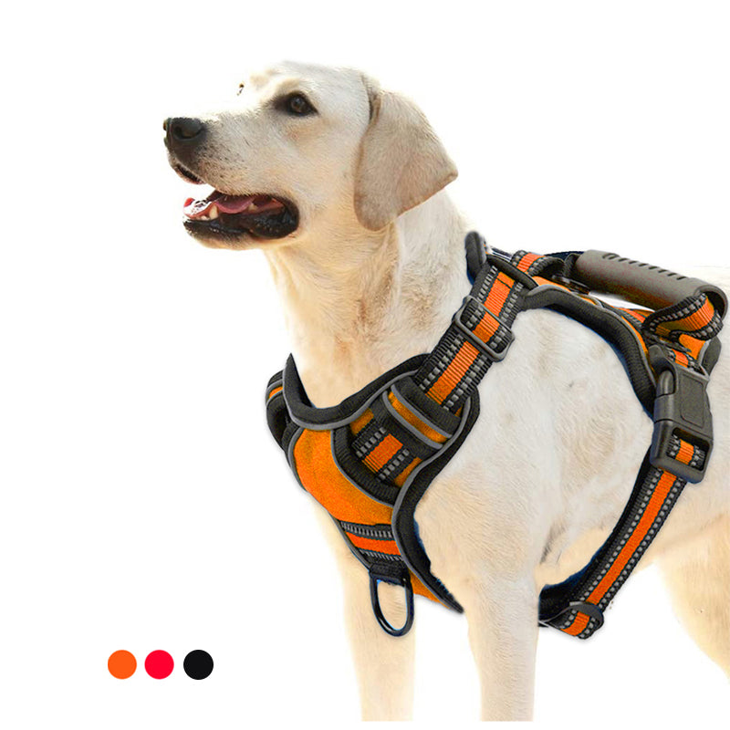 Harnais Réfléchissant Anti traction pour Chien