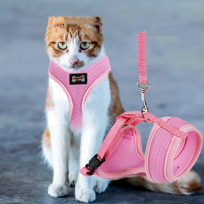 Harnais en maille pour Chat