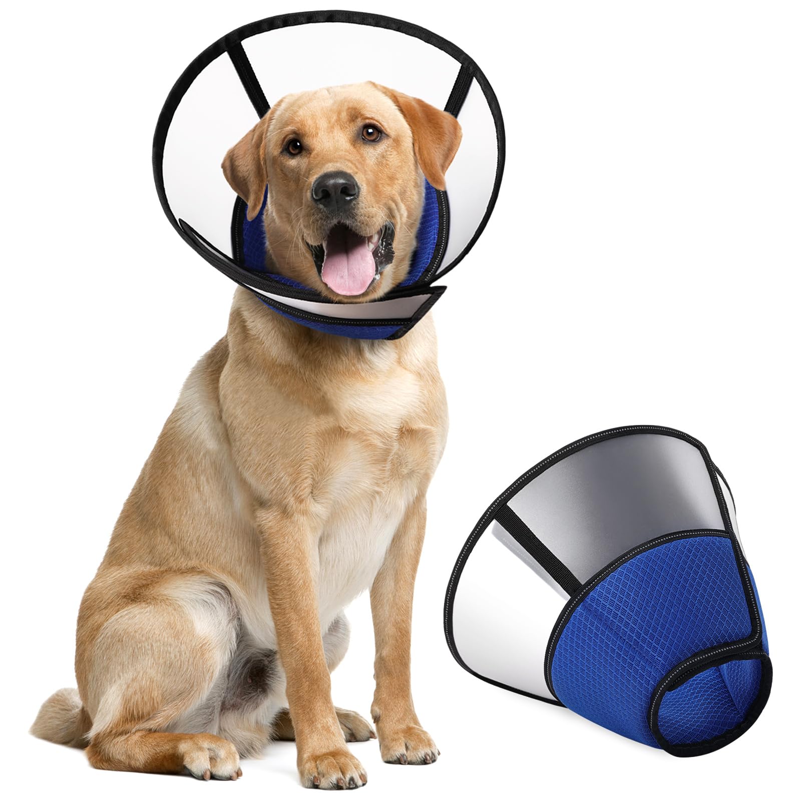 Collerette Blue Soul pour Chien