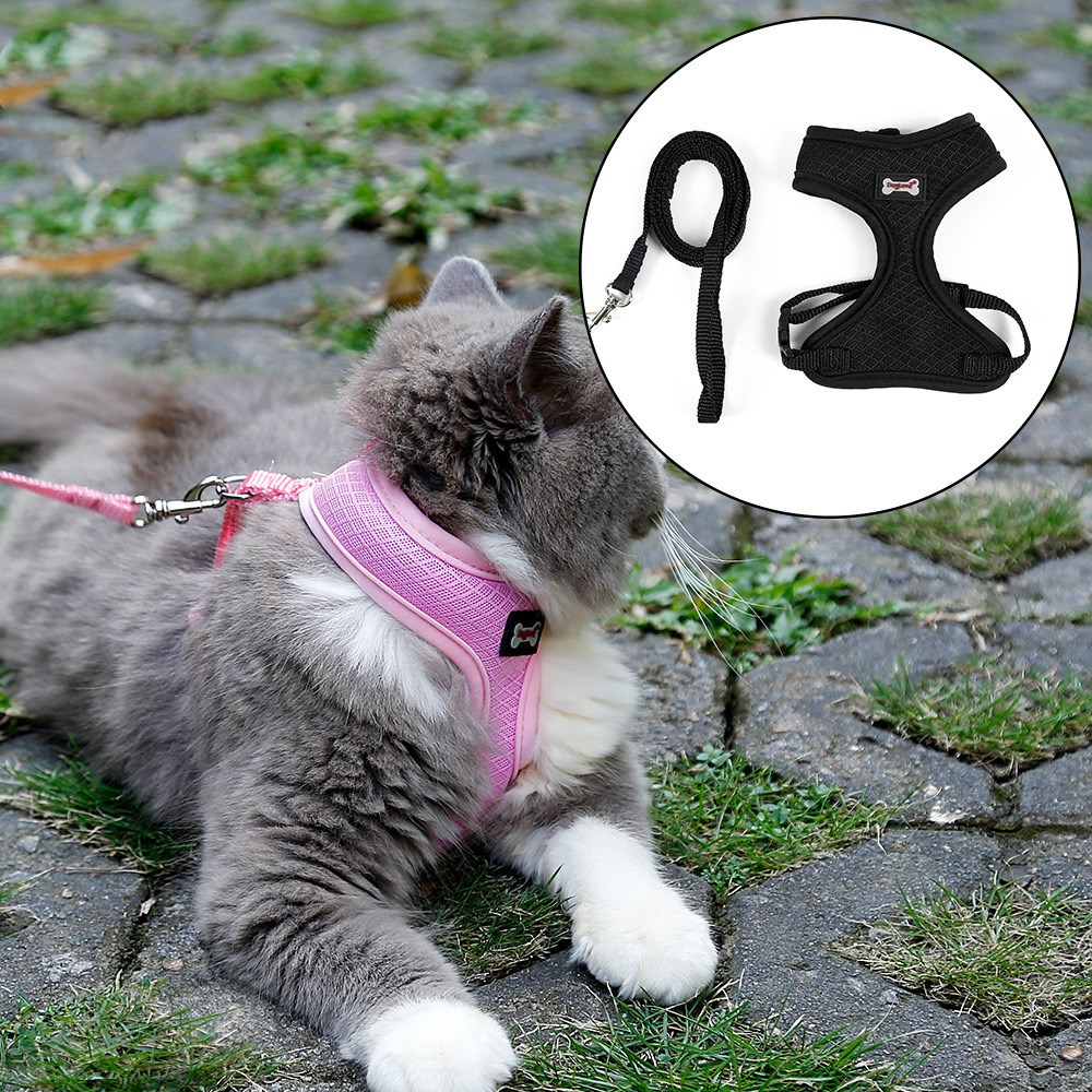 Harnais en maille pour Chat