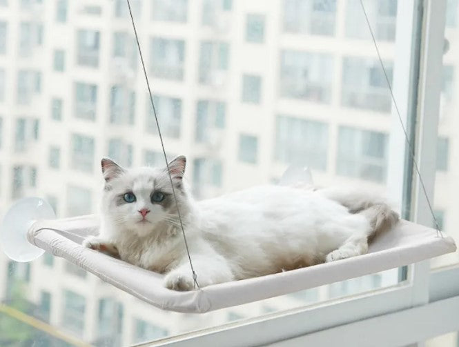 Hamac de fenêtre pour chat