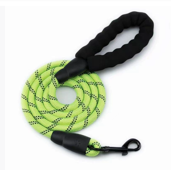 Laisse pour chien  — Liberté, résistance & style