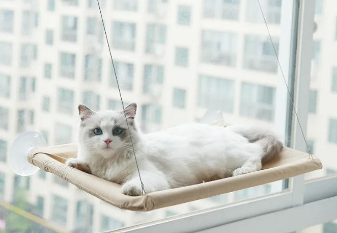 Hamac de fenêtre pour chat