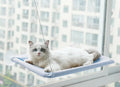 Hamac de fenêtre pour chat