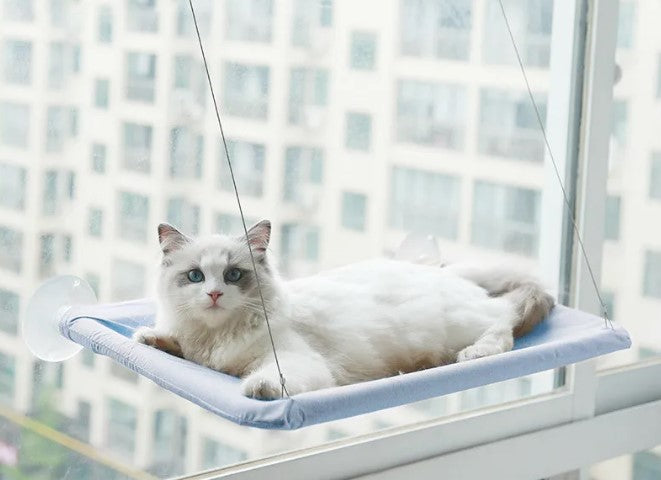 Hamac de fenêtre pour chat