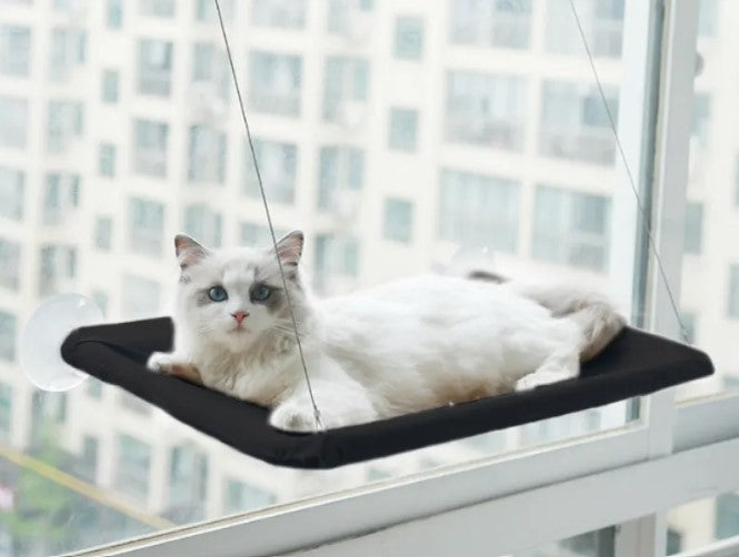 Hamac de fenêtre pour chat