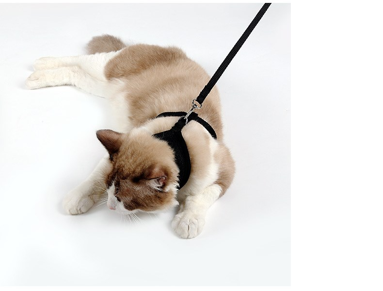 Harnais en maille pour Chat