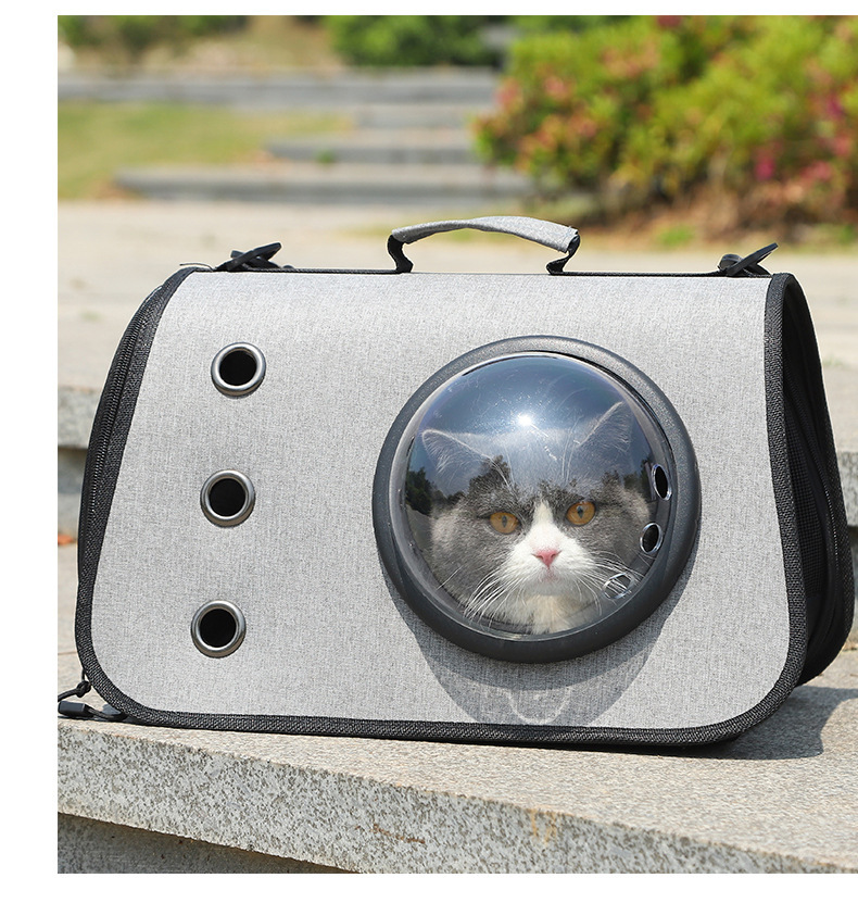 Sac Hublot pour Chat