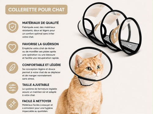 Collerette Brown Soul pour Chat