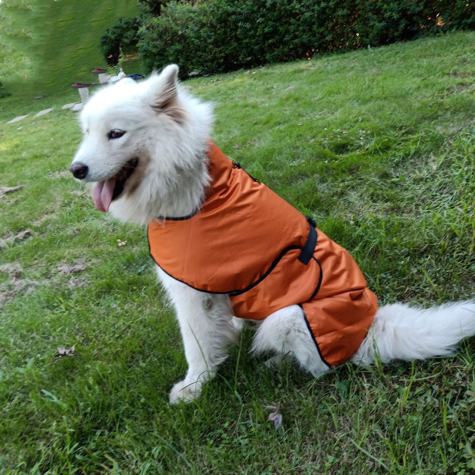 Veste imperméable pour animaux
